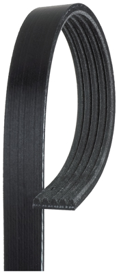 Serpentine belt